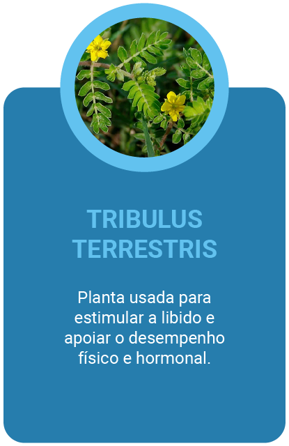 Tribulus